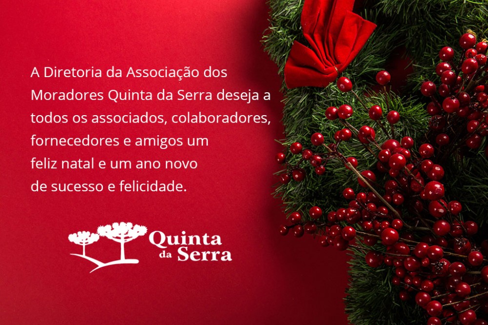 Feliz Natal e Feliz Ano Novo! 