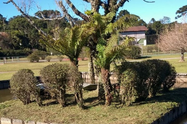 Dia de manutenção nas ilhas do Lago