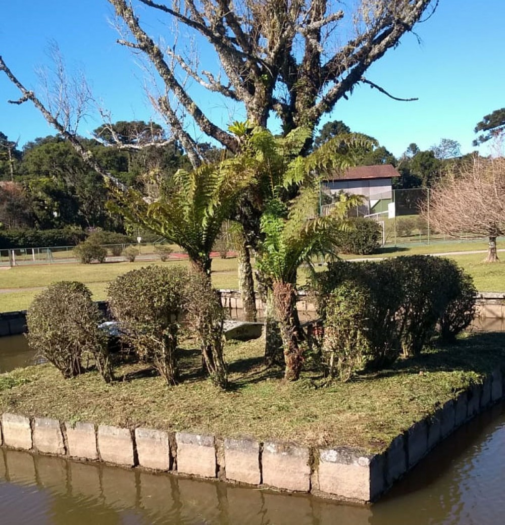 Dia de manutenção nas ilhas do Lago