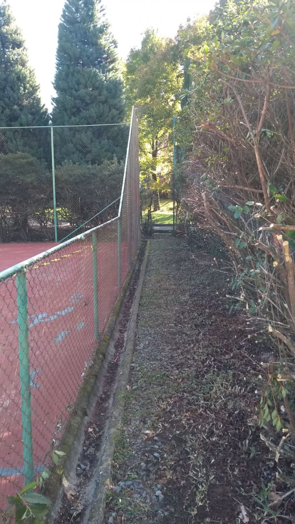 Canchas de Tênis