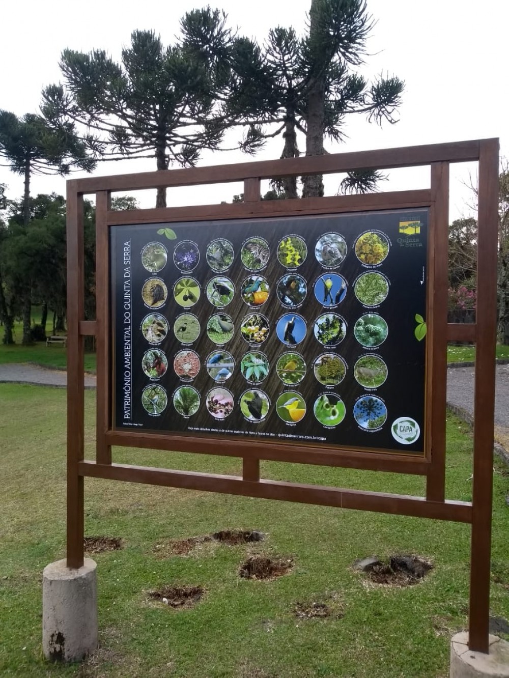 Revitalização da Placa Patrimônio Ambiental do Quinta