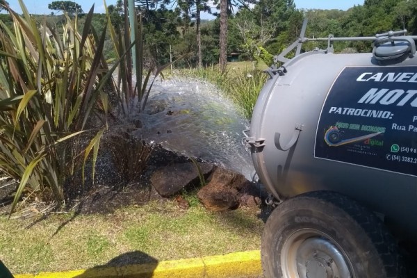 Regando as plantas das Rótulas