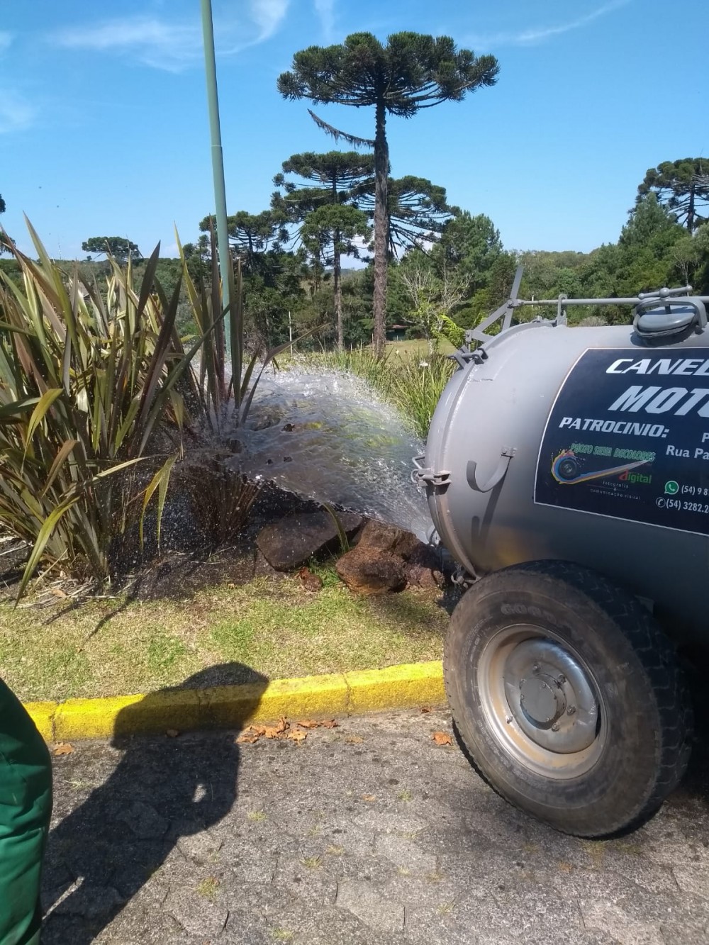 Regando as plantas das Rótulas